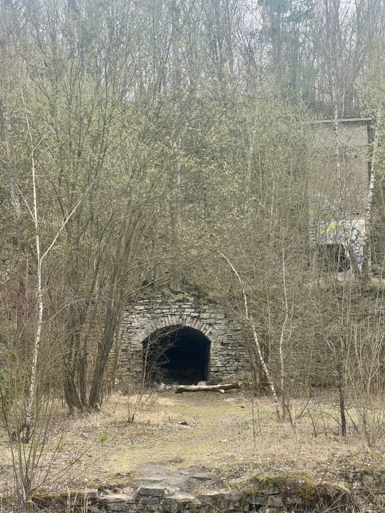 Tunel do starého lomu_Údolí Dalejského potoka