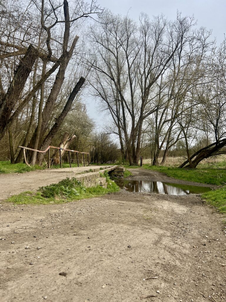 Vodou nebo po mostě_Údolí Dalejského potoka