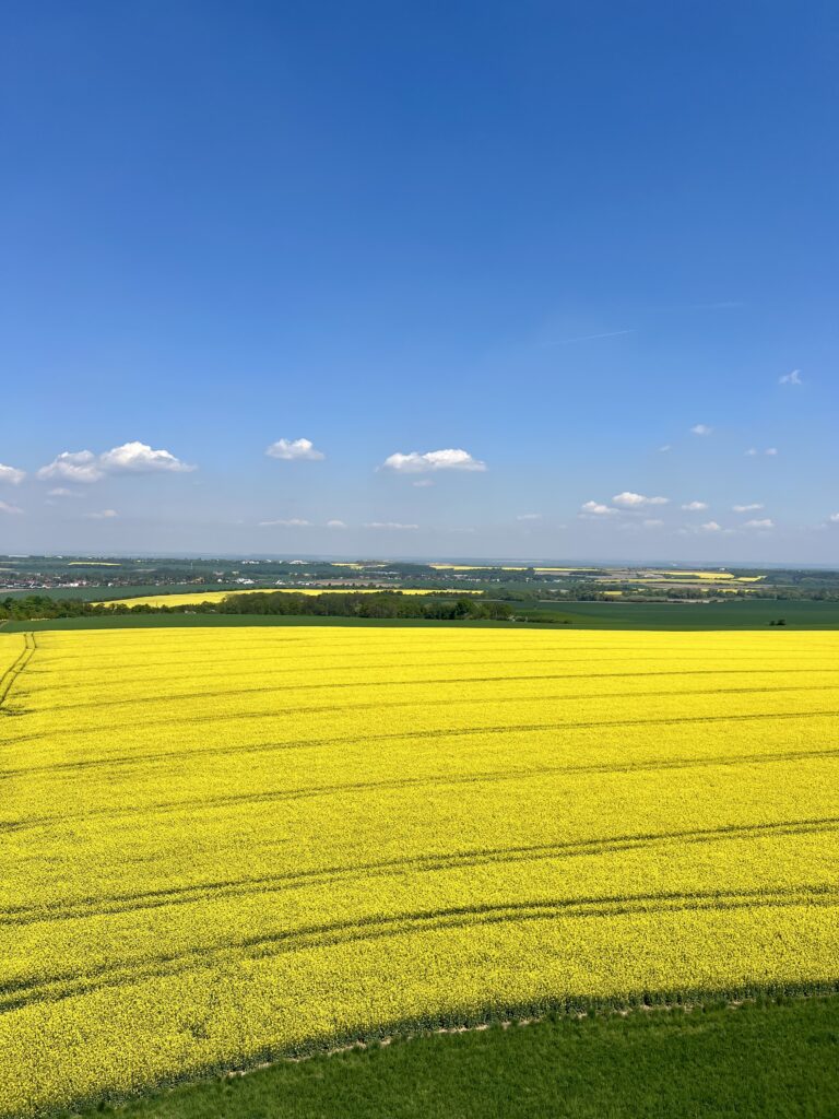 Výhled z rozhledny Vinice_Úvaly