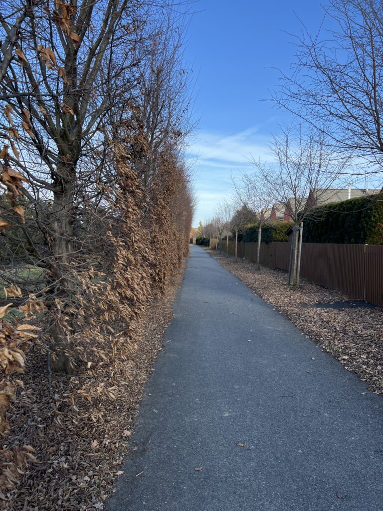 Zeleneč_Greenway Jizera