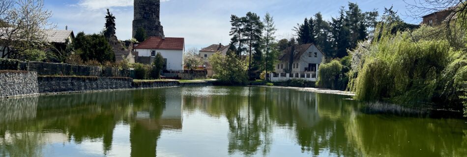 Zřícenina hradu Jenštejn_hradní věž_Jenštejn