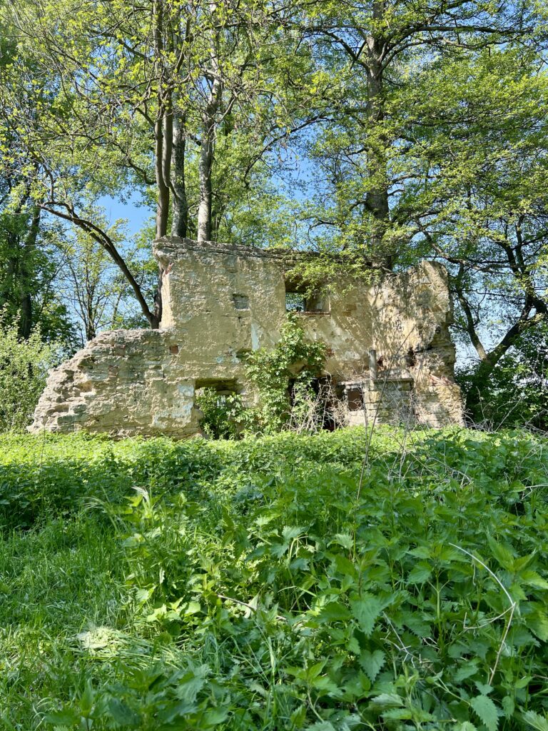 Zřícenina mlýnu_Vykáň