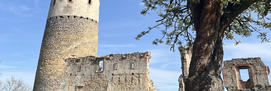 Zřícenina zámku Zvířetice_1_Greenway Jizera
