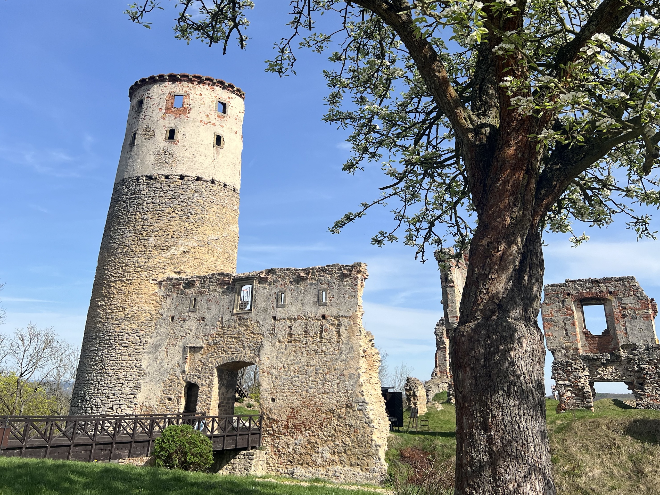 🚴 Greenway Jizera: Výprava od bran Prahy až k romantické zřícenině Zvířetice