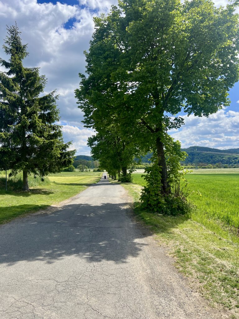Cesta k Hradištku_Hradištko