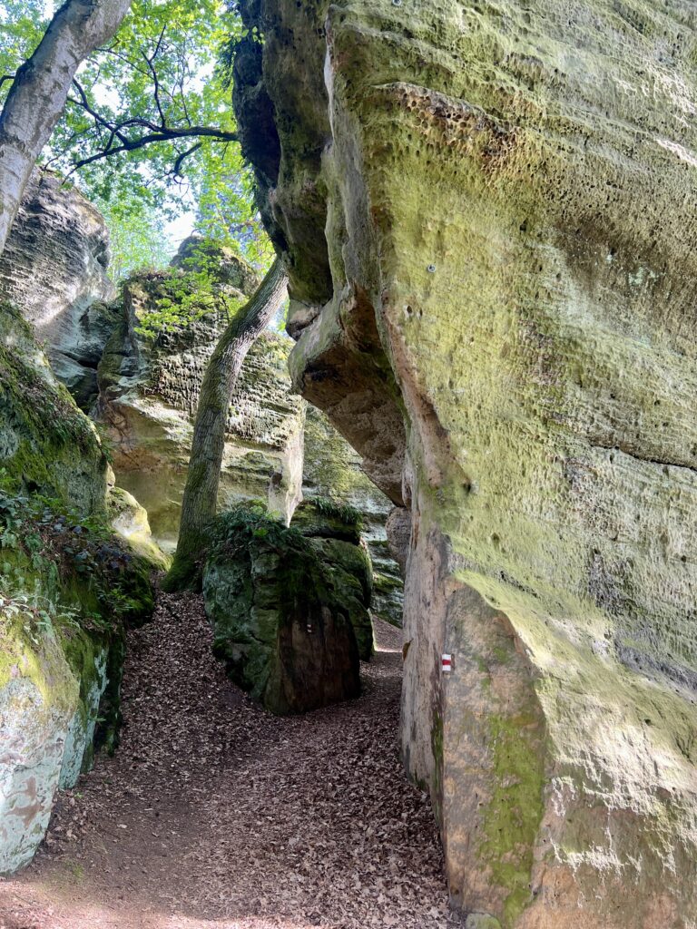 Skalní bludiště1_Kokořínský důl