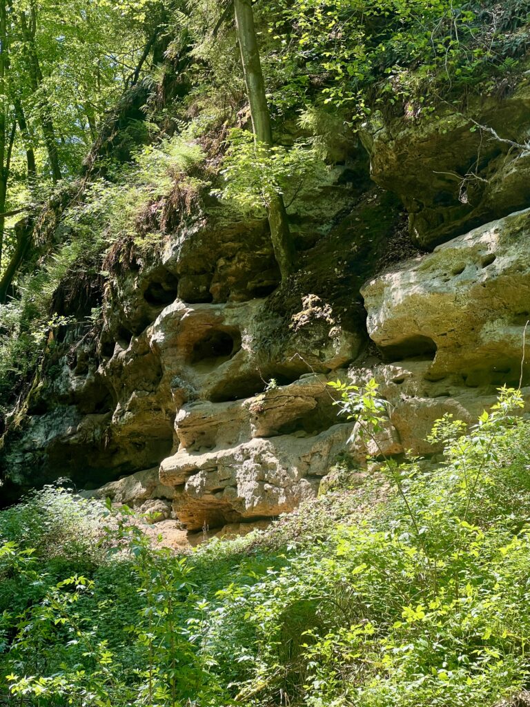 Skalní útvary_PR Kokořínský důl