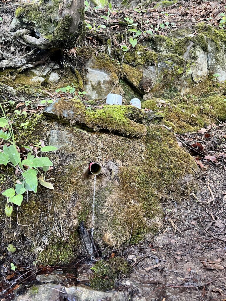 Studánka 2_Svatojánské proudy