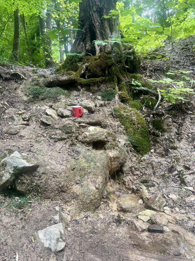 Studánka