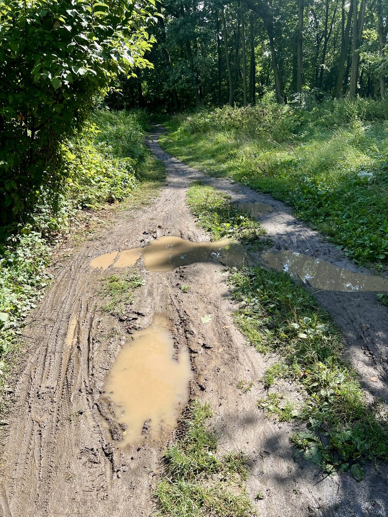Bahenní lázně u obce Tuhaň_Labská stezka