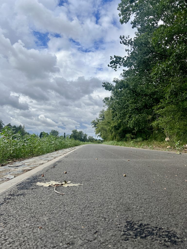 Labská stezka_Labská stezka