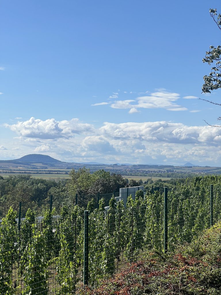Výhled z Mělníku na Říp_Labská stezka