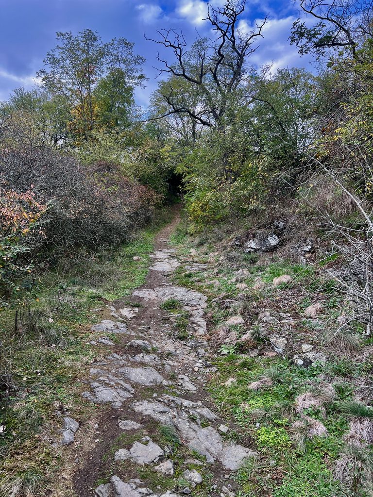 Trail zpět k Vltavě do Husince_Cyklotrasa Mezi řekami